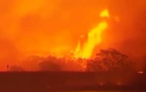 An out-of-control fire in Sydney Australia fueled by Eucalyptus Trees. An out-of-control fire in Sydney Australia fueled by Eucalyptus Trees.