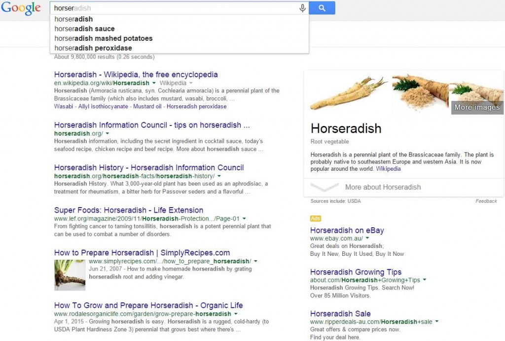 Horseradish Sauce sample 1 found on when you Activate Google Instant Search Turn and Activate Google Instant Search