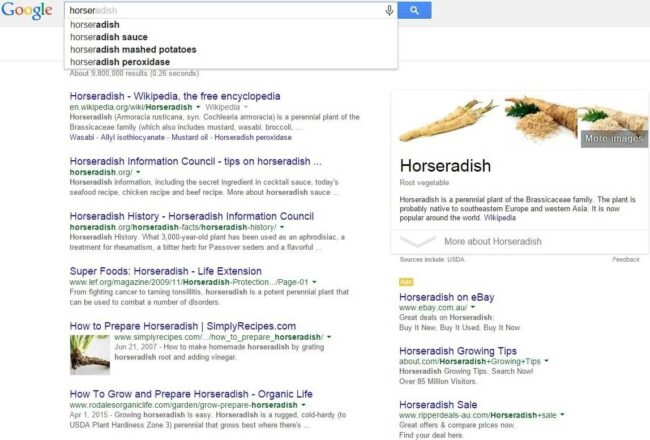 Google Instant for finding Horseradish