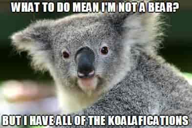 Koala is not a Bear Koala is not a Bear