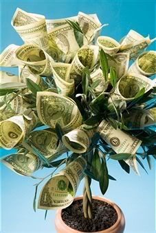 money grows on trees money grows on trees