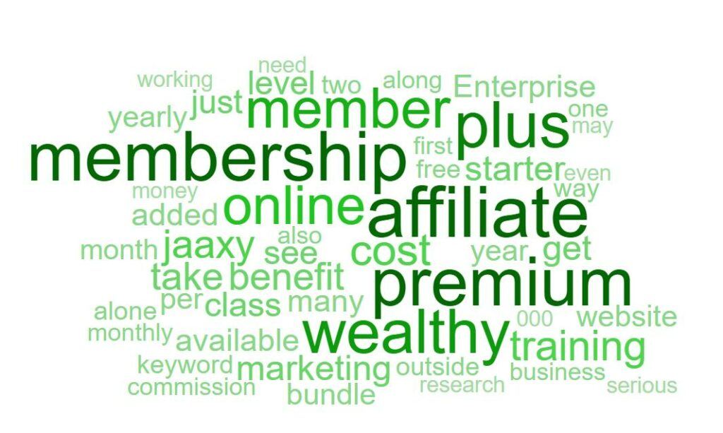 What is Wealthy Affiliate Premium Plus What is Wealthy Affiliate Premium Plus