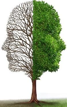 Fixed mindset is bare and empty while growth mindset if luch and growing Tree in the shape of two heads on the lett relates to fixed mindset bare and nothing happening on the right relates to growth mindset growing stronger